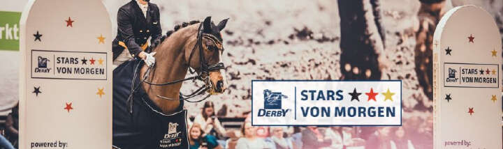 einstiegsbanner derby stars von morgen landingpage 2025 mobil